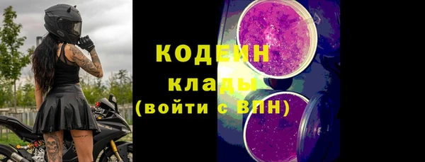 молекула духа Алзамай
