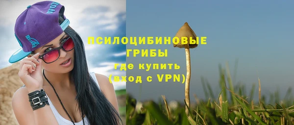 молекула духа Алзамай