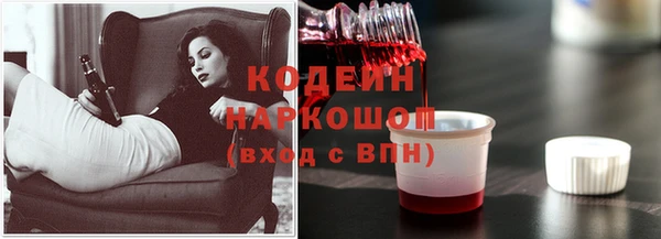 прущие грибы Краснослободск