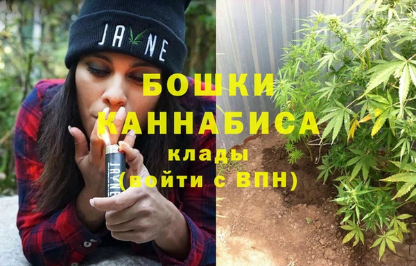 молекула духа Алзамай