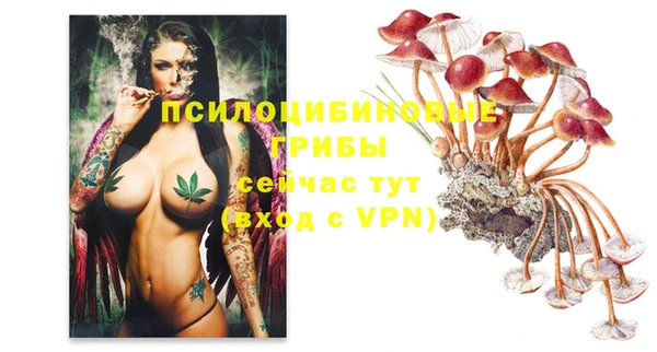 молекула духа Алзамай